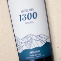 Andeluna 1300 Uco Valley Malbec 2025