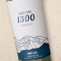 Andeluna '1300' Torrontes 2020 Mendoza